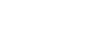 Velorbis